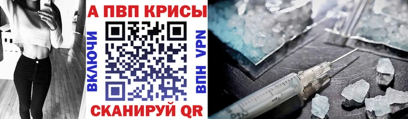 закладки  Выборг  Alfa_PVP СК 