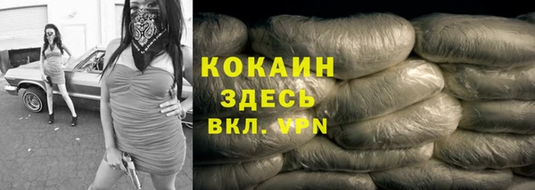 ГАЛЛЮЦИНОГЕННЫЕ ГРИБЫ Белокуриха
