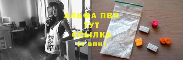 ГАЛЛЮЦИНОГЕННЫЕ ГРИБЫ Белокуриха