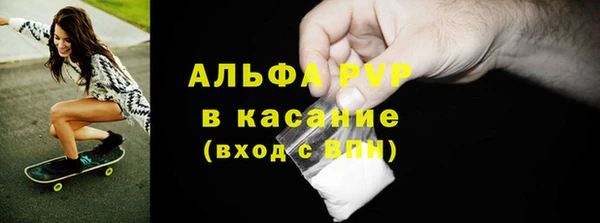 прущие грибы Белоозёрский