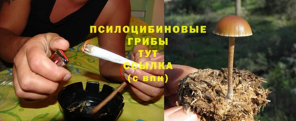 тгк Беломорск