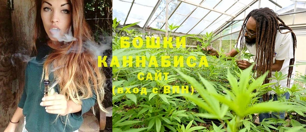 ГАЛЛЮЦИНОГЕННЫЕ ГРИБЫ Белокуриха