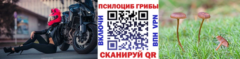 Галлюциногенные грибы мухоморы  Выборг 